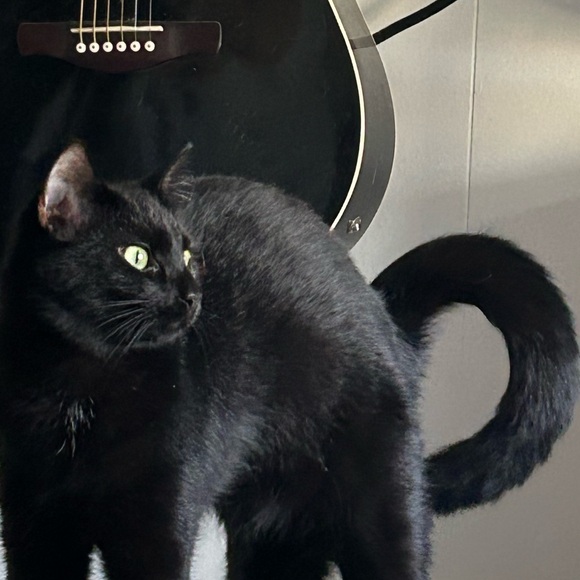 Price isn’t perfect? Offer! - Picture 2 of 2